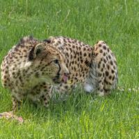 Image added by Phil Jones to see where it might be shown